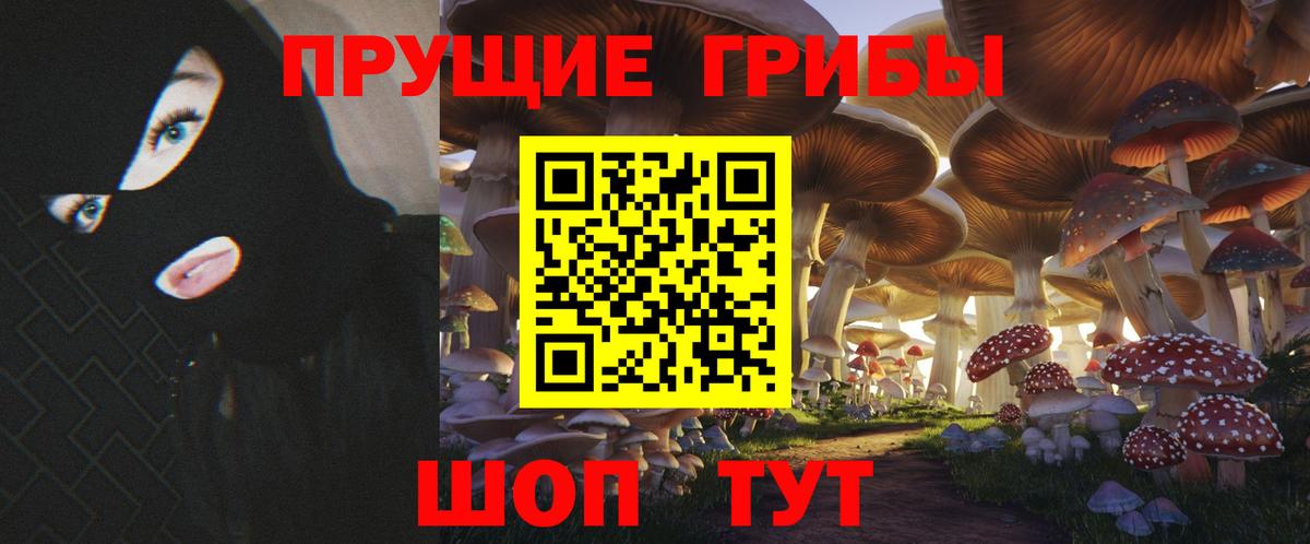 Шали  Псилоцибиновые грибы MAGIC MUSHROOMS  Галлюциногенные грибы прущие грибы  Вход с VPN 